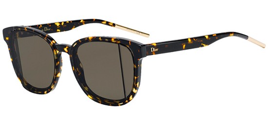 dior step sunglasses