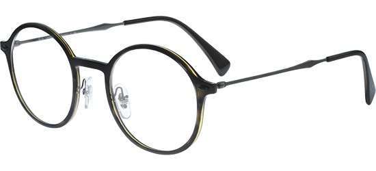 ray ban glasses round ray ban glasses round