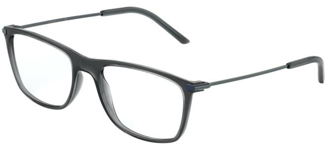dolce and gabbana spectacle frames