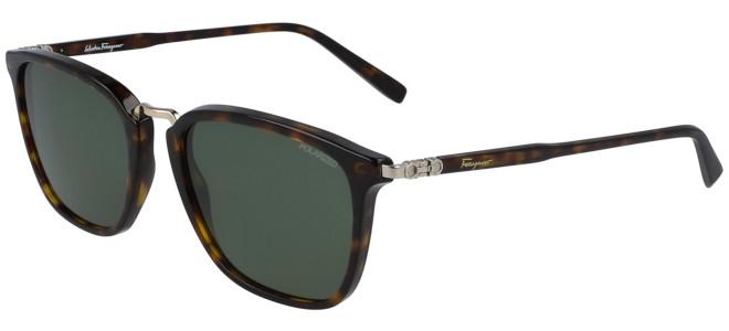 بوظة علمي فرضية occhiali da sole uomo ferragamo - expatdadsg.com